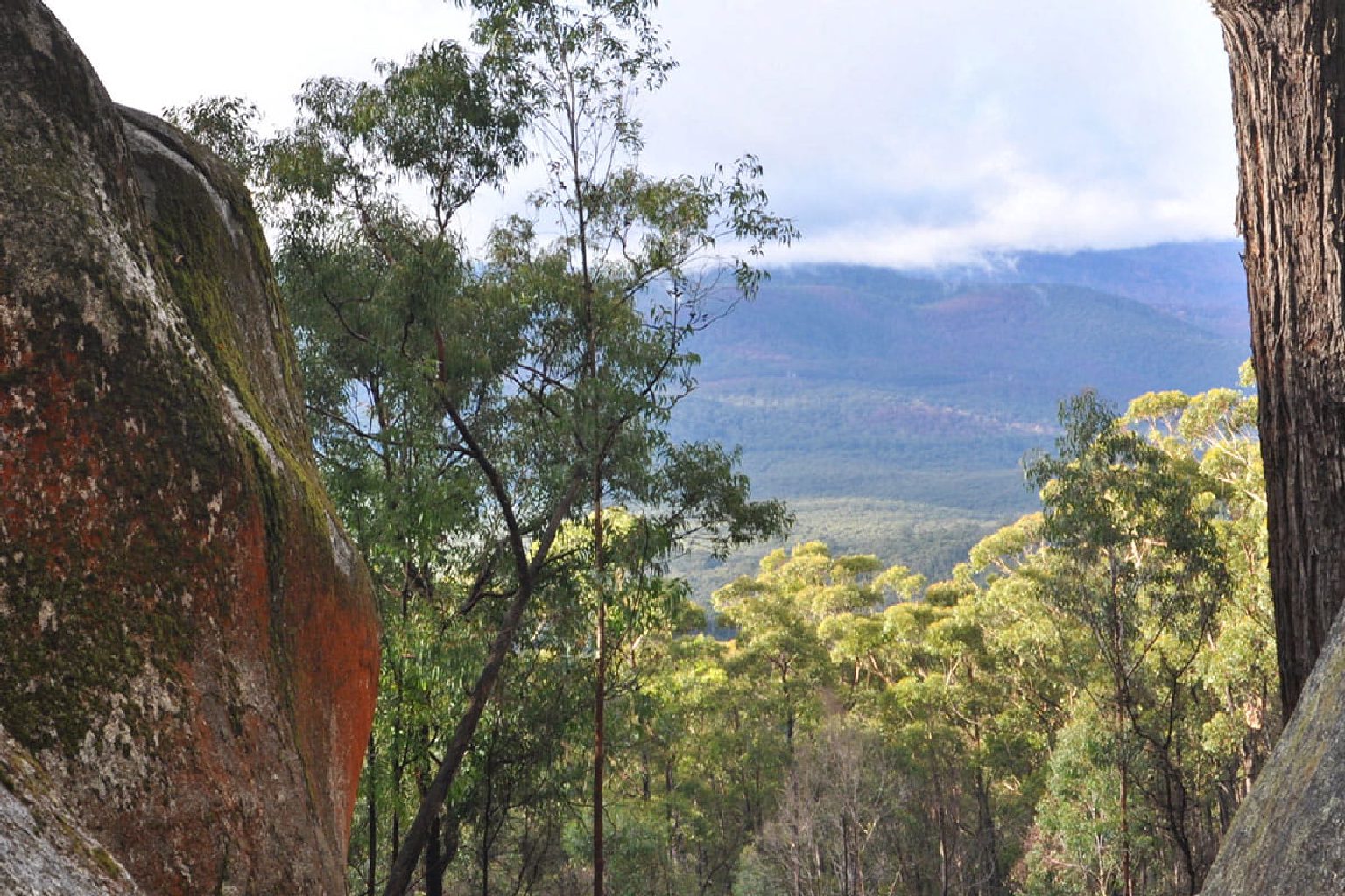 Photo of Camping in Bunyip State Park