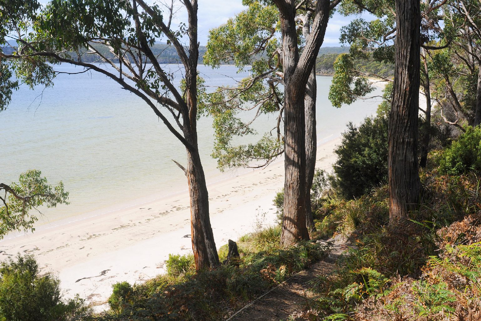 Photo of South Bruny camping