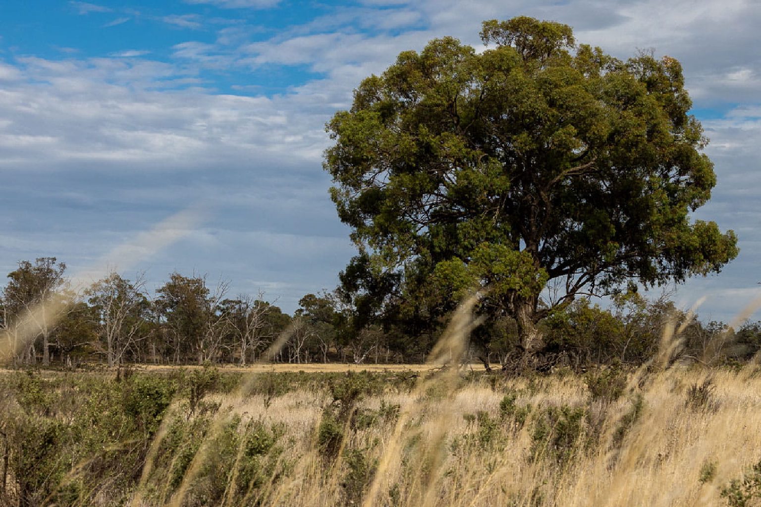 Photo of Other Camping Areas in Wyperfeld National Park