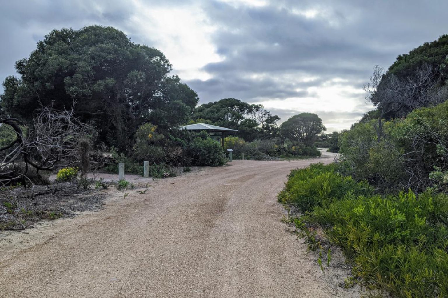 Photo of Belinup Campground