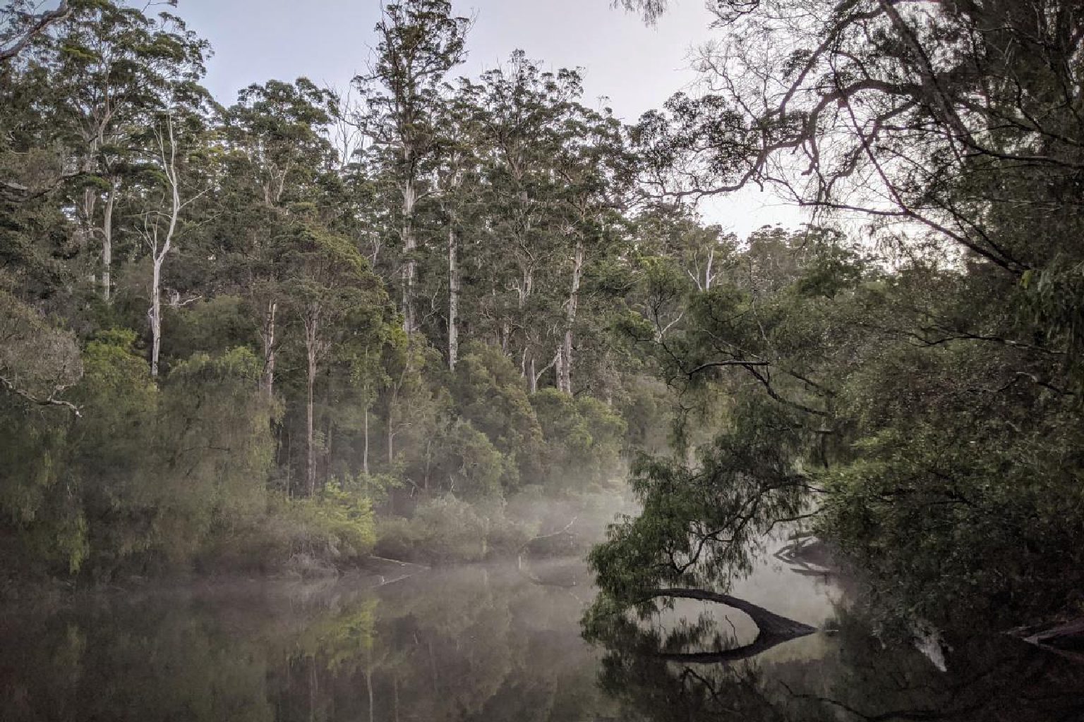 Photo of Draftys Campground