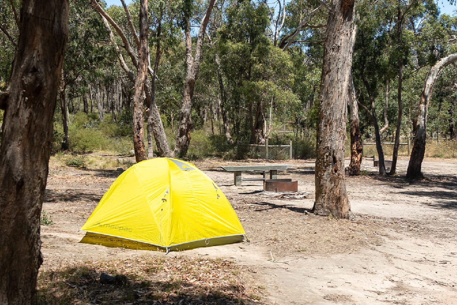 Photo of Boar Gully Campground