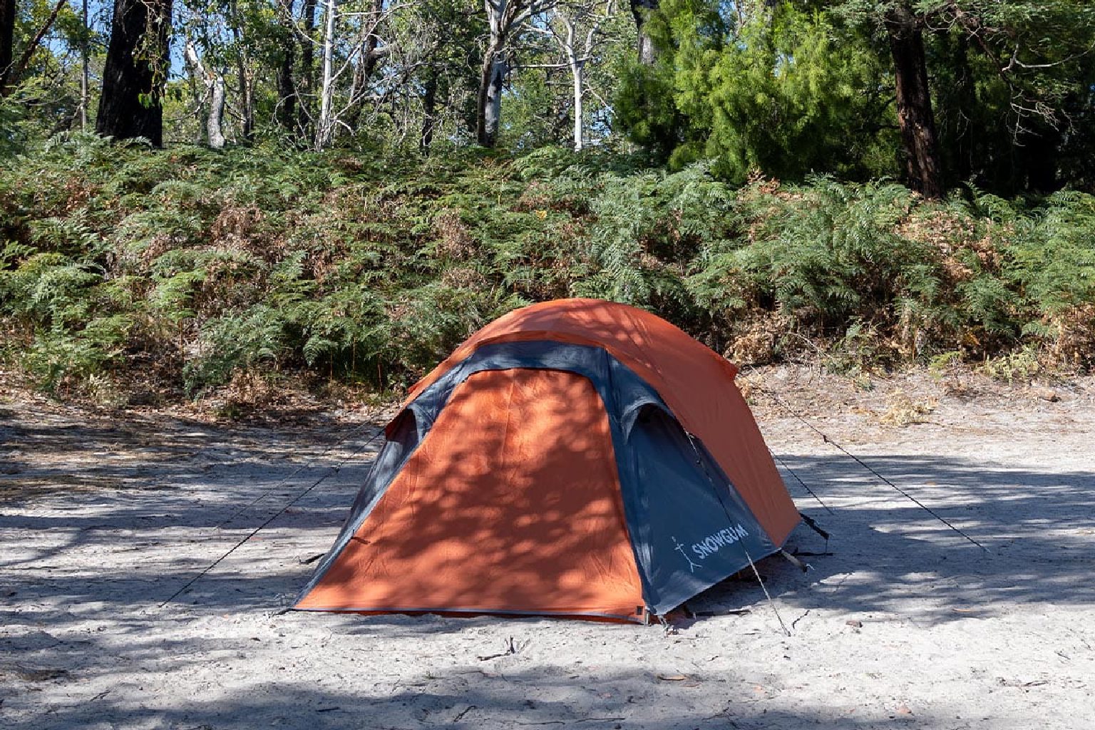 Photo of Wild Dog Bend Campground