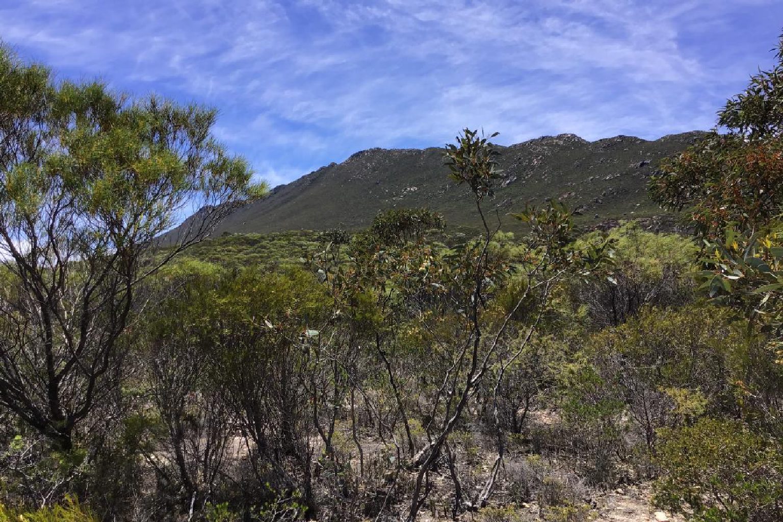 Photo of Mount Ragged Campground