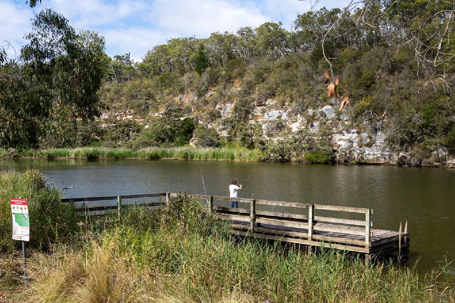 Photo of McLennans Punt Campground
