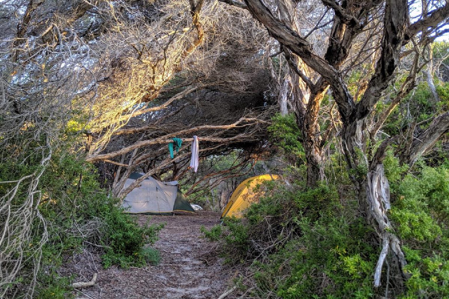 Photo of St Mary Inlet Campground