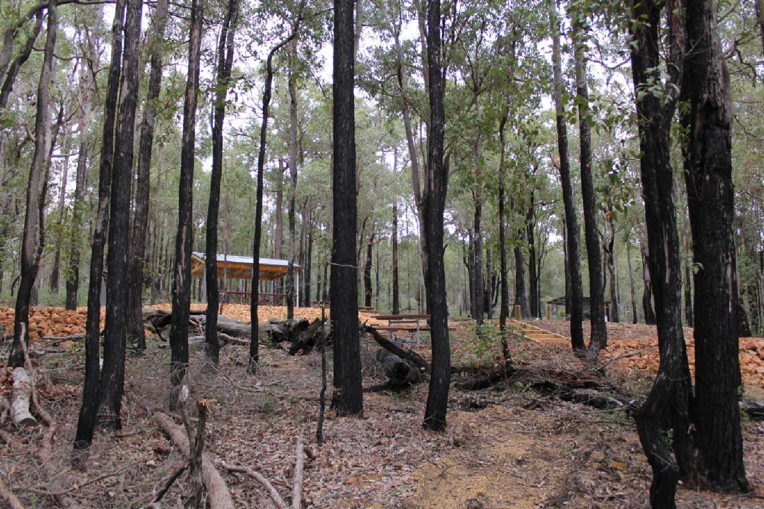 Photo of Logue Brook Campground