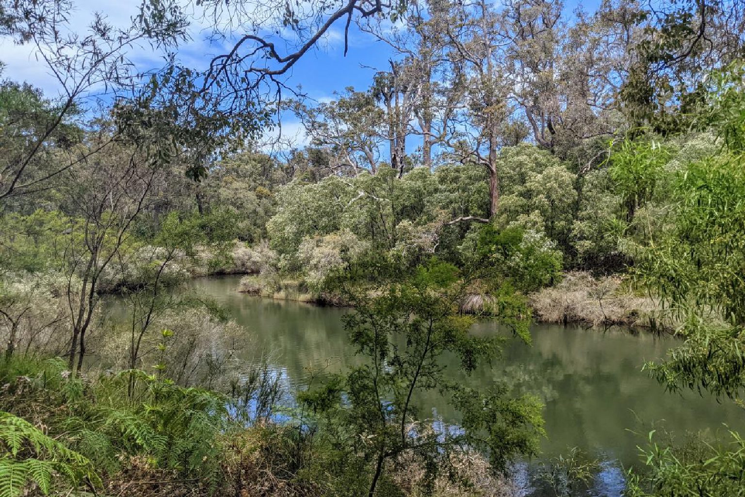 Photo of Chapman Pool Campground (formerly Warner Glen at Chapman Pool)