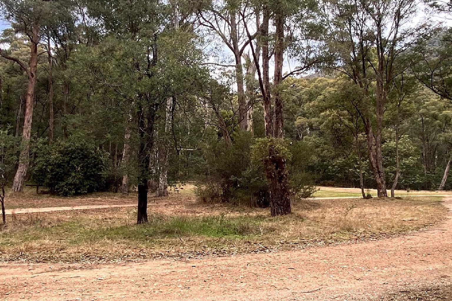 Photo of 8 Mile Flat Camping Area