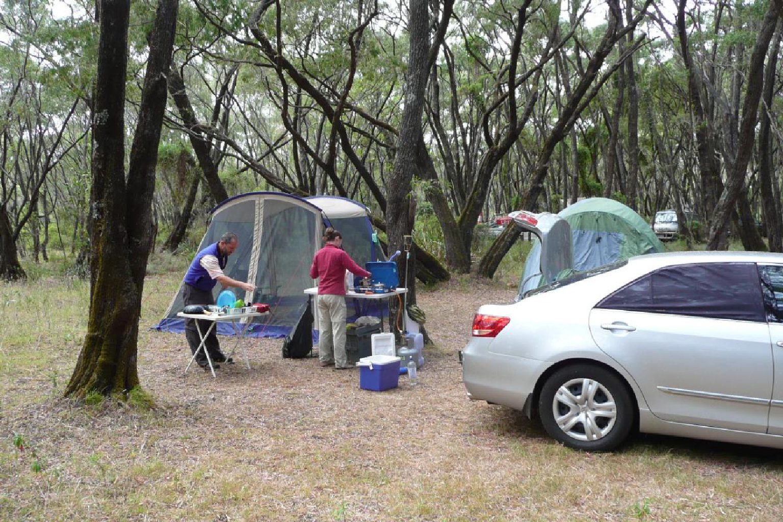Photo of Crystal Springs Campground