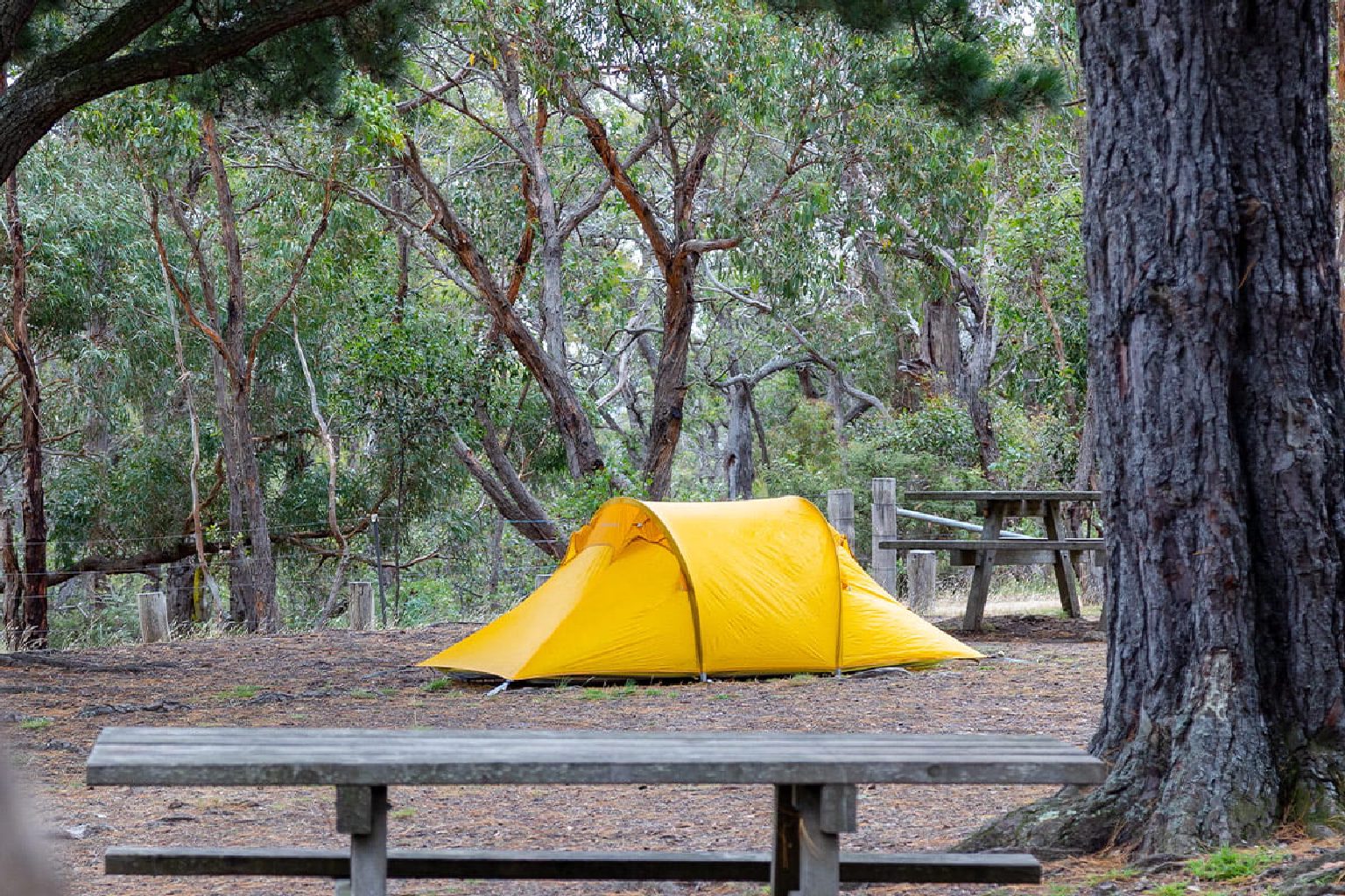 Photo of Fridays Campground