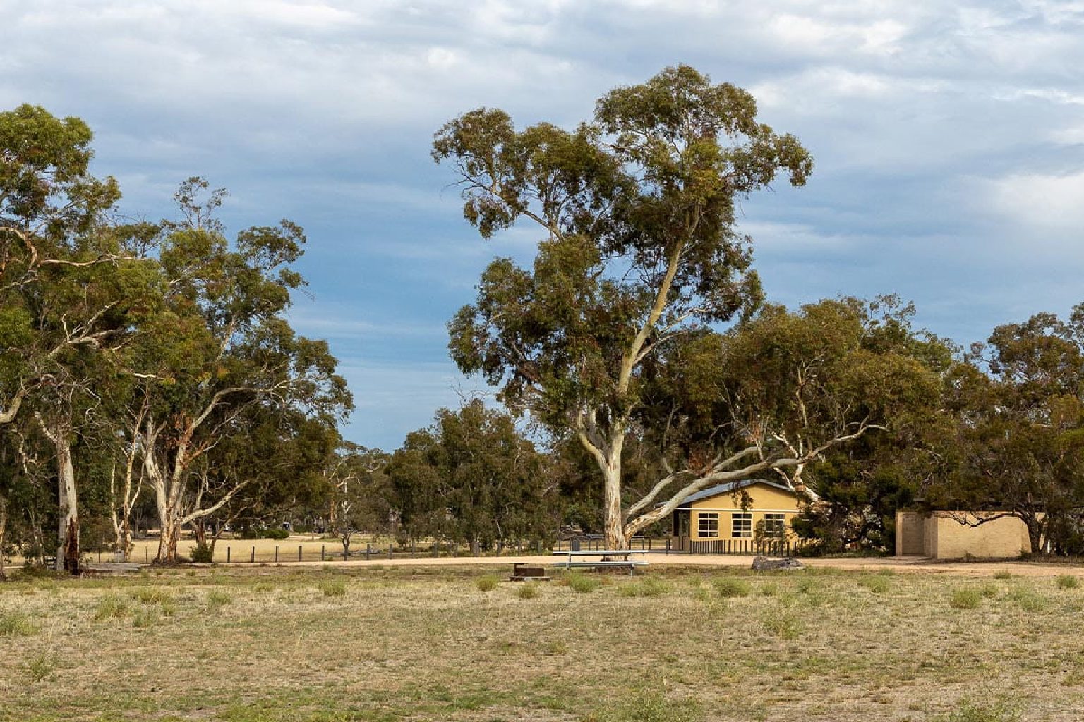 Photo of Wonga Camping Area