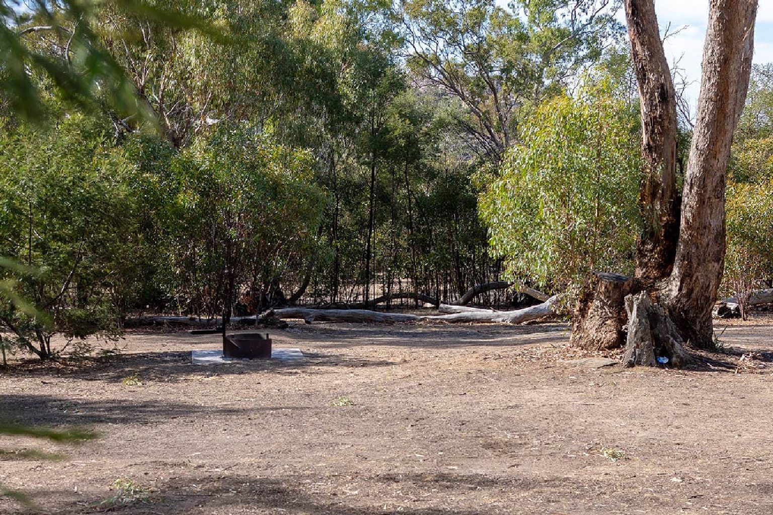 Photo of Coppermine Campground