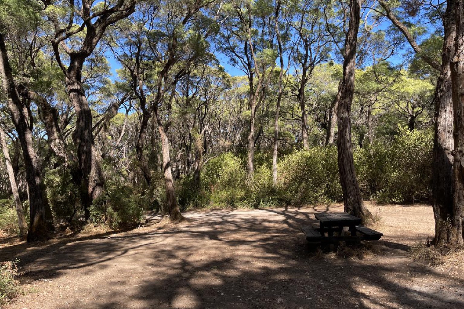 Photo of Boranup Campground