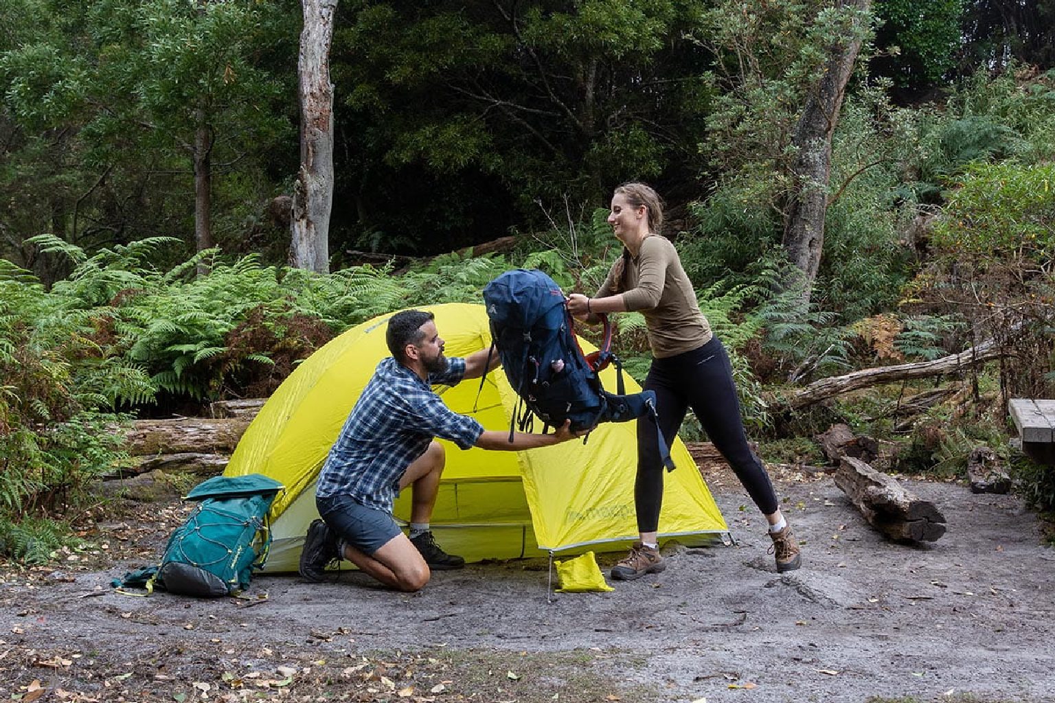 Photo of Little Waterloo Bay Camping Area