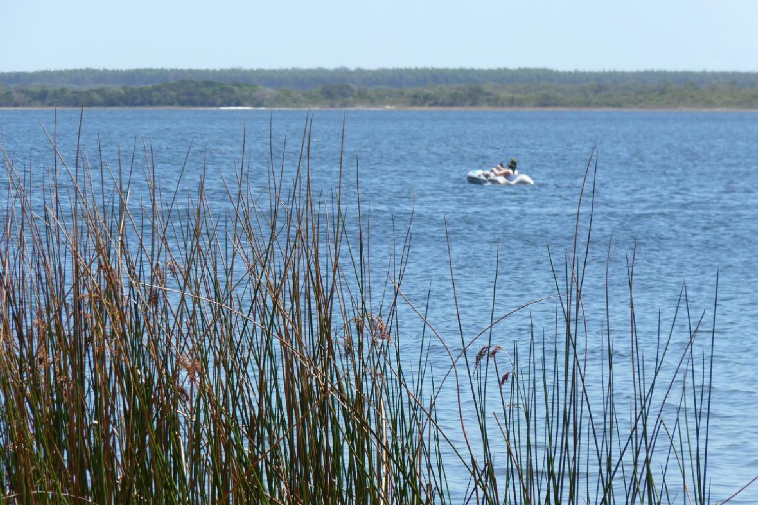 Photo of Lake Jasper (Yoondaddup) Campground
