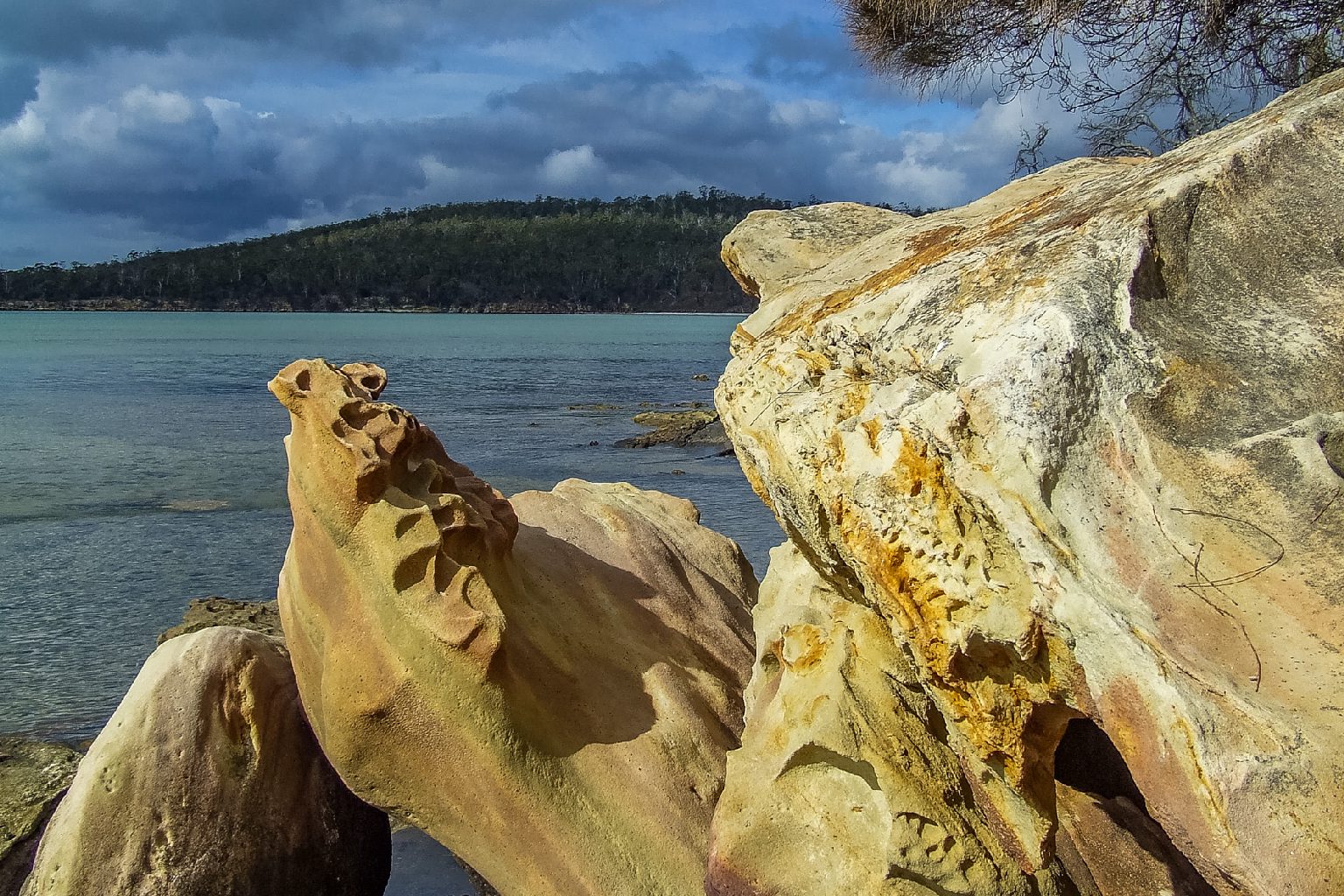 Photo of Lime Bay camping