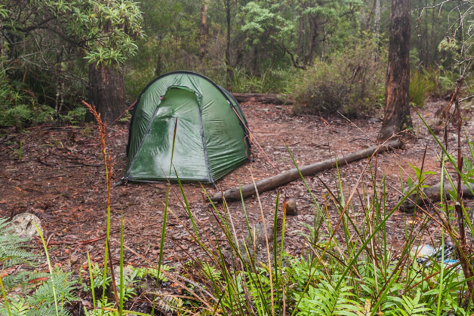 Photo of Douglas-Apsley camping