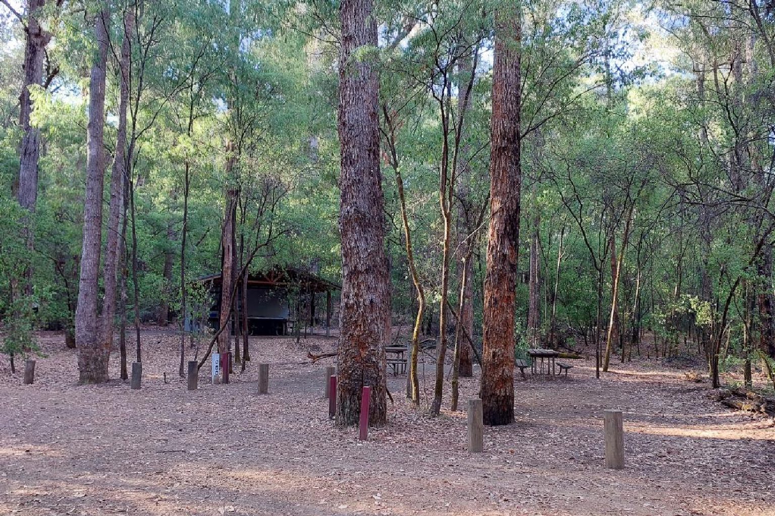 Photo of Honeymoon Pool - Stones Brook Campground