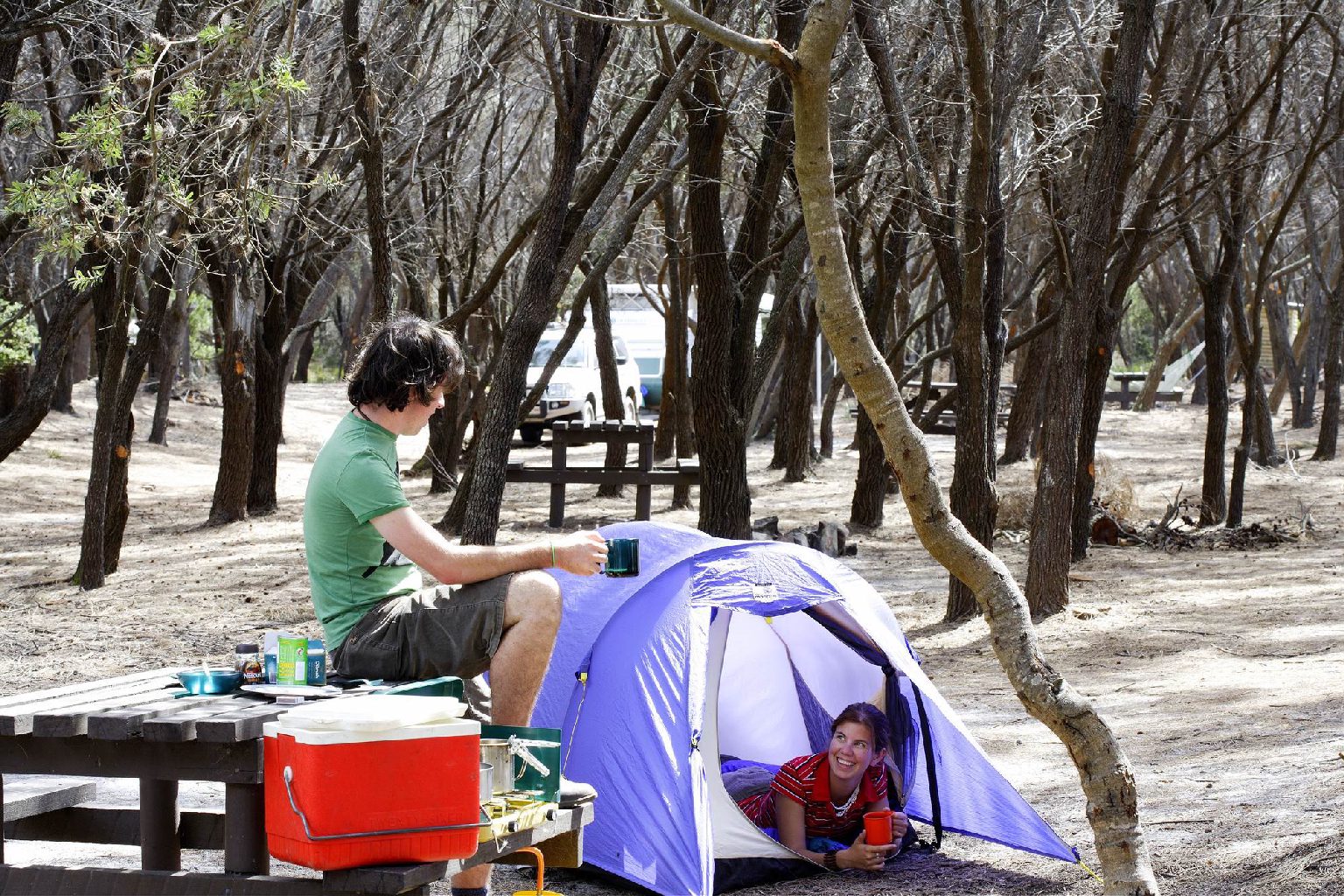 Photo of Mount William camping