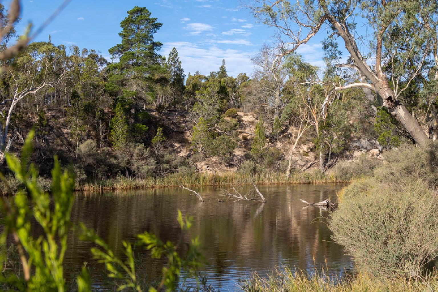 Photo of Horseshoe Bend Camping Area