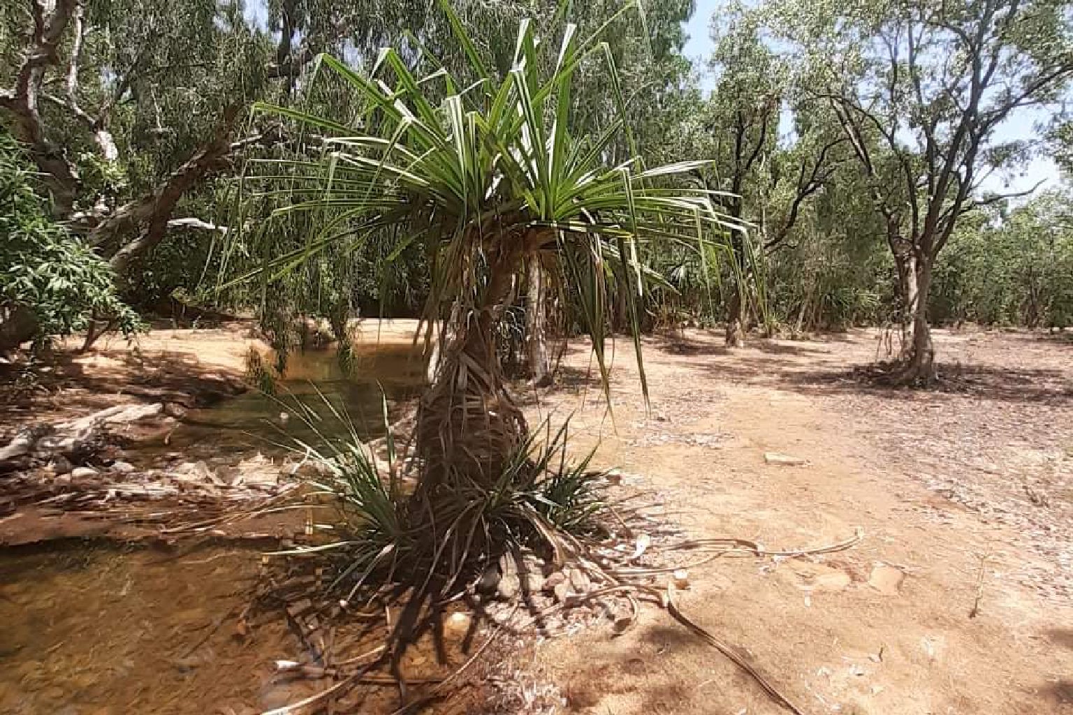 Photo of Stray Creek Campground