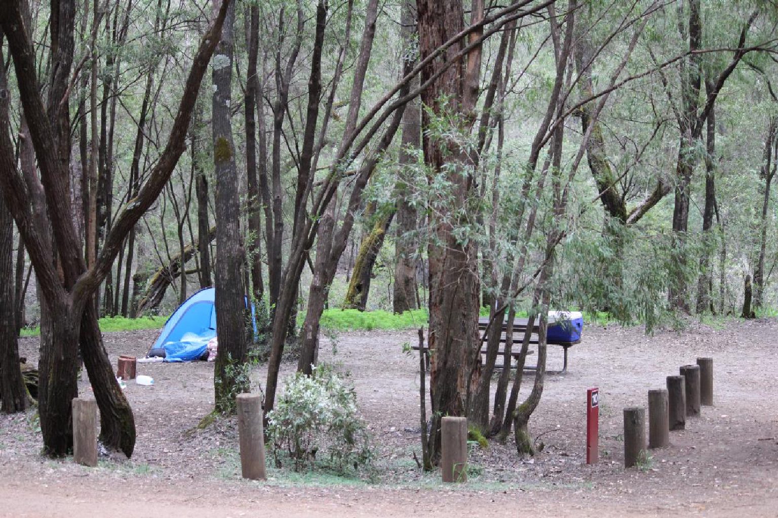 Photo of Honeymoon Pool Campground