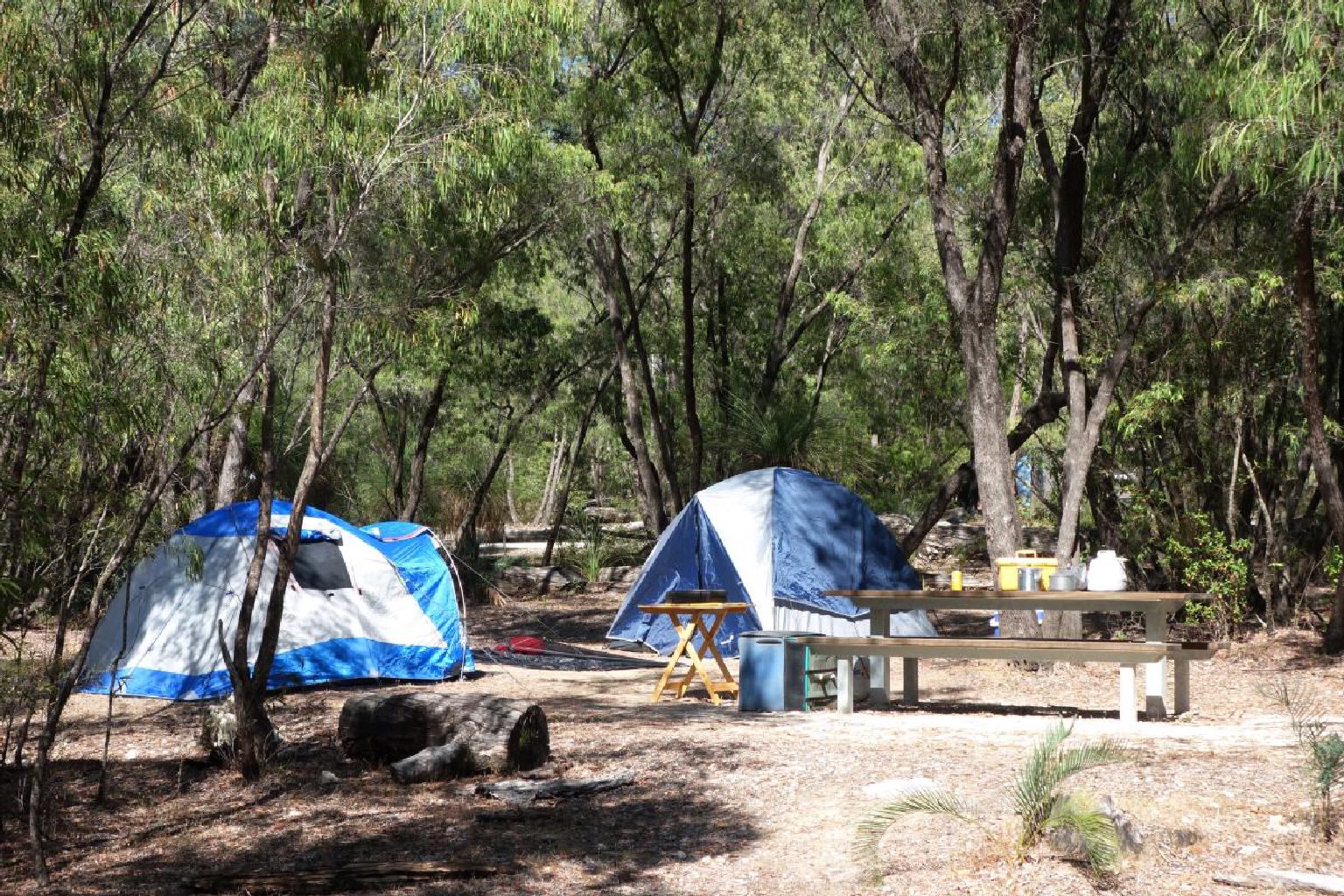 Photo of Martins Tank Campground