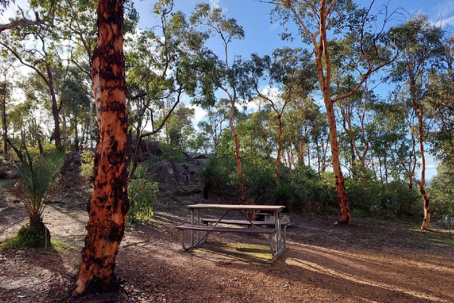 Photo of Bald Hill Campground