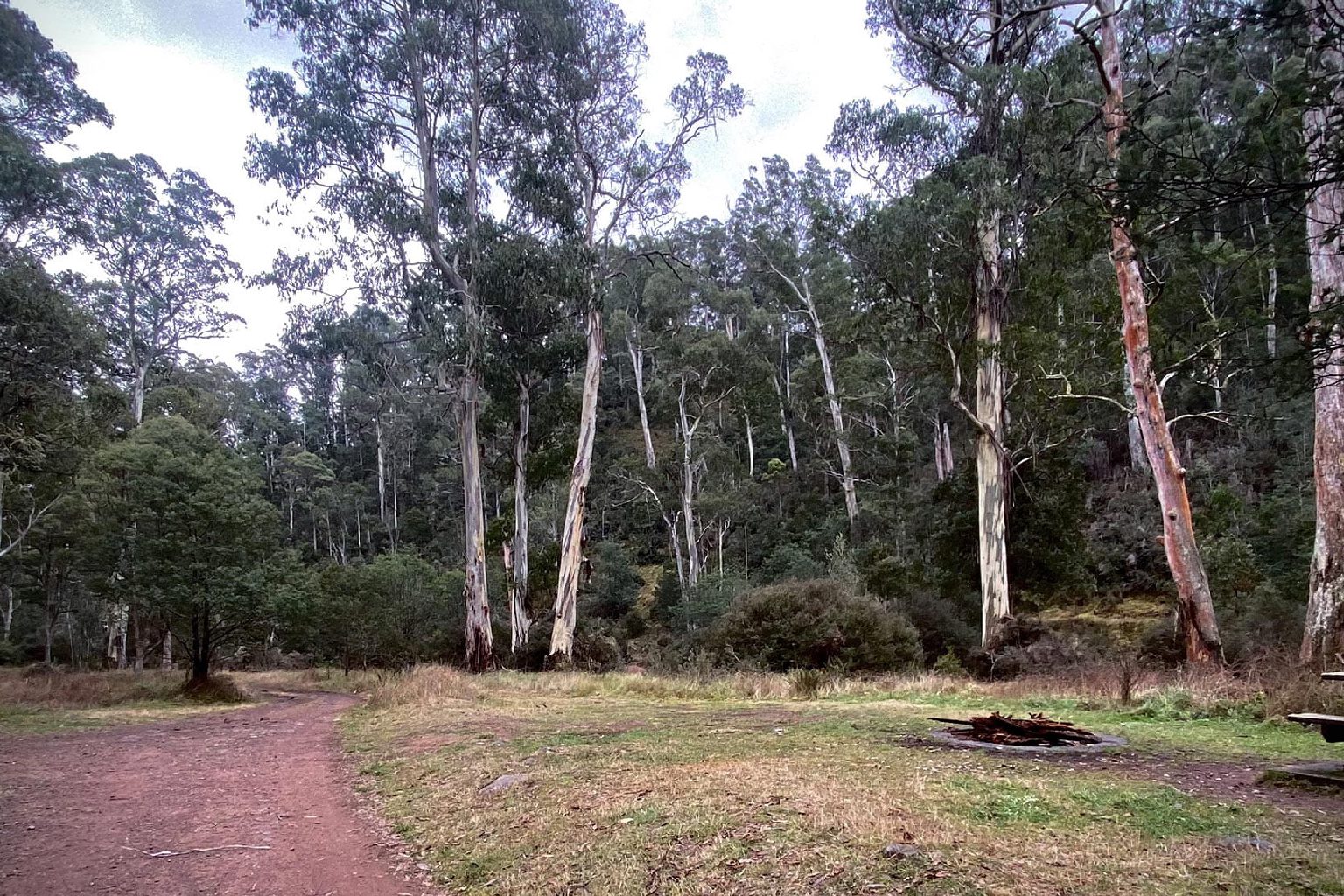 Photo of Upper Howqua Camping Area