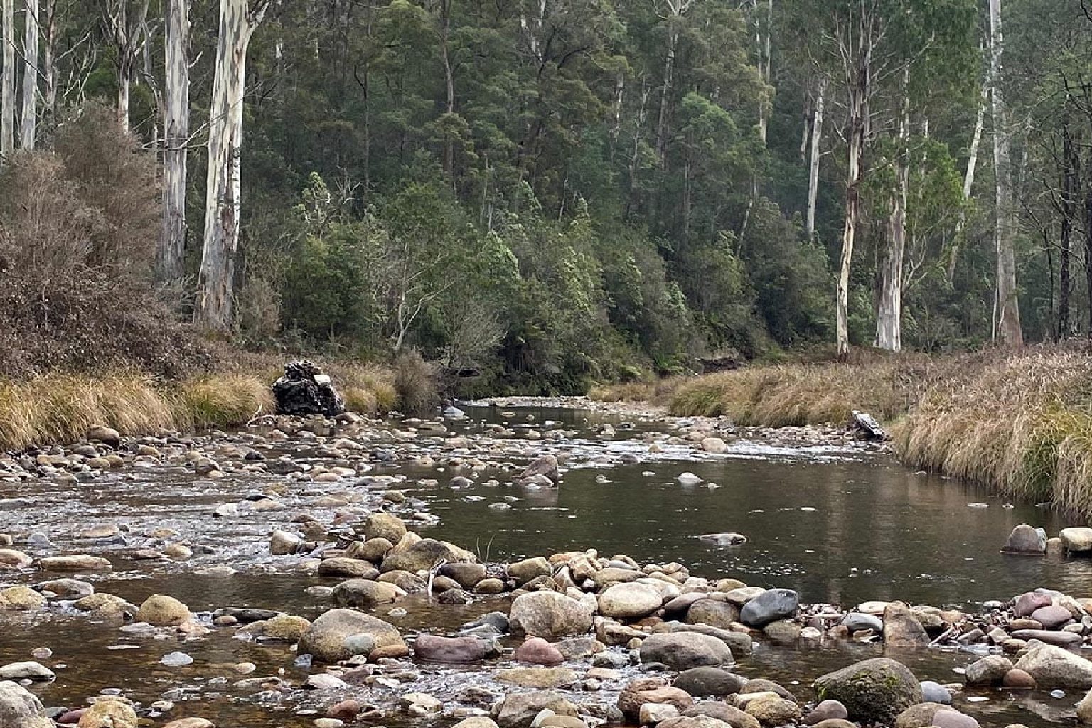 Photo of Pikes Flat Camping Area