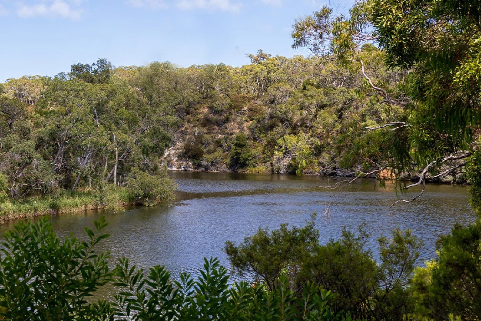 Photo of Forest North Campground