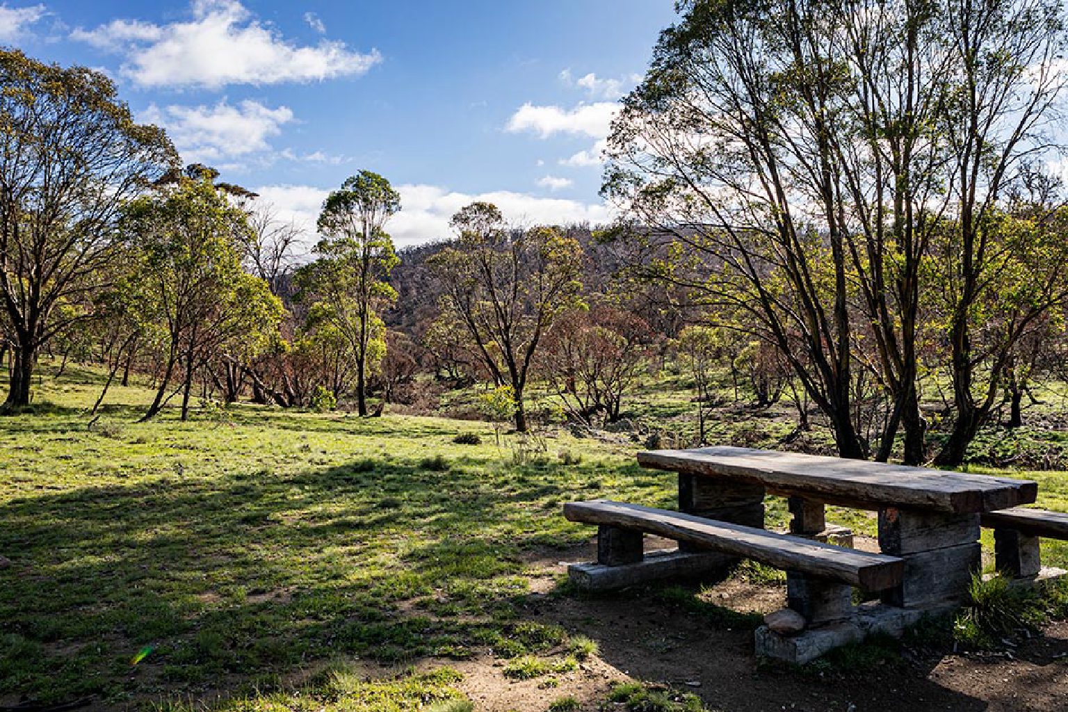 Photo of Mount Clear Campground