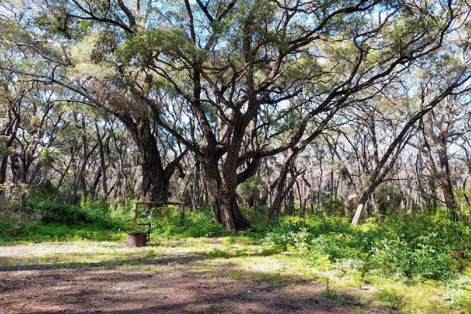 Photo of Point Road Campground