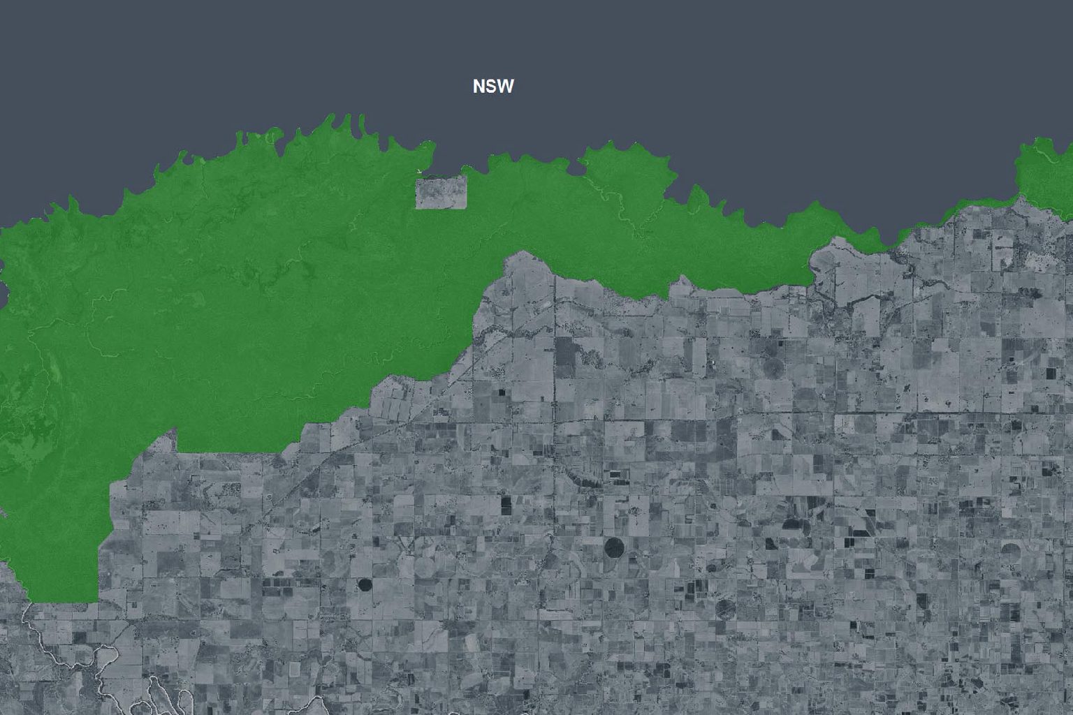 Photo of Faraway (Peppertree) Beach Camping Area (Barmah National Park)