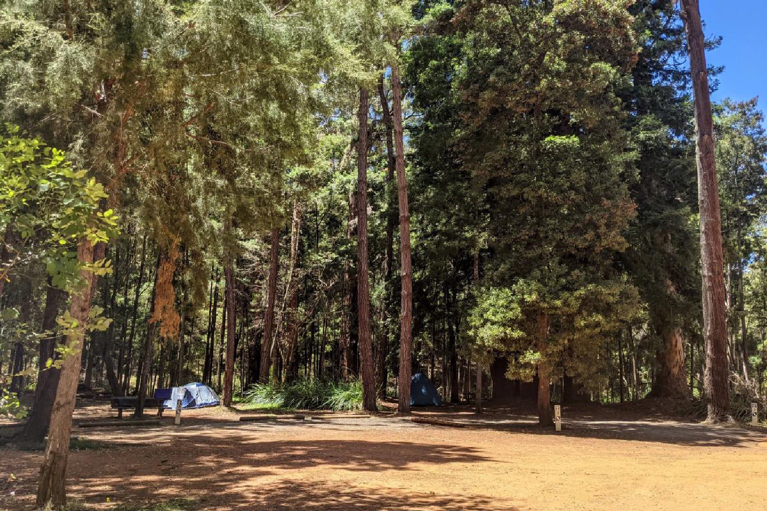 Photo of Big Brook Arboretum Campground