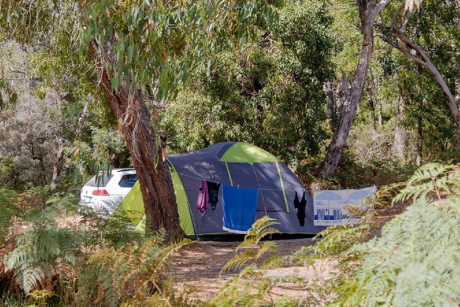 Photo of Battersby Campground