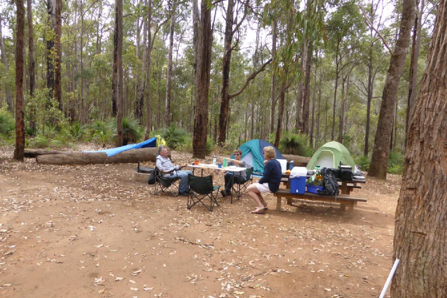 Photo of Stringers Campground