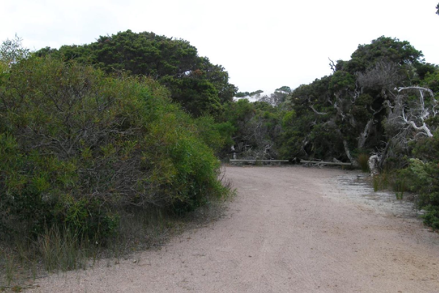 Photo of Seal Creek Campground