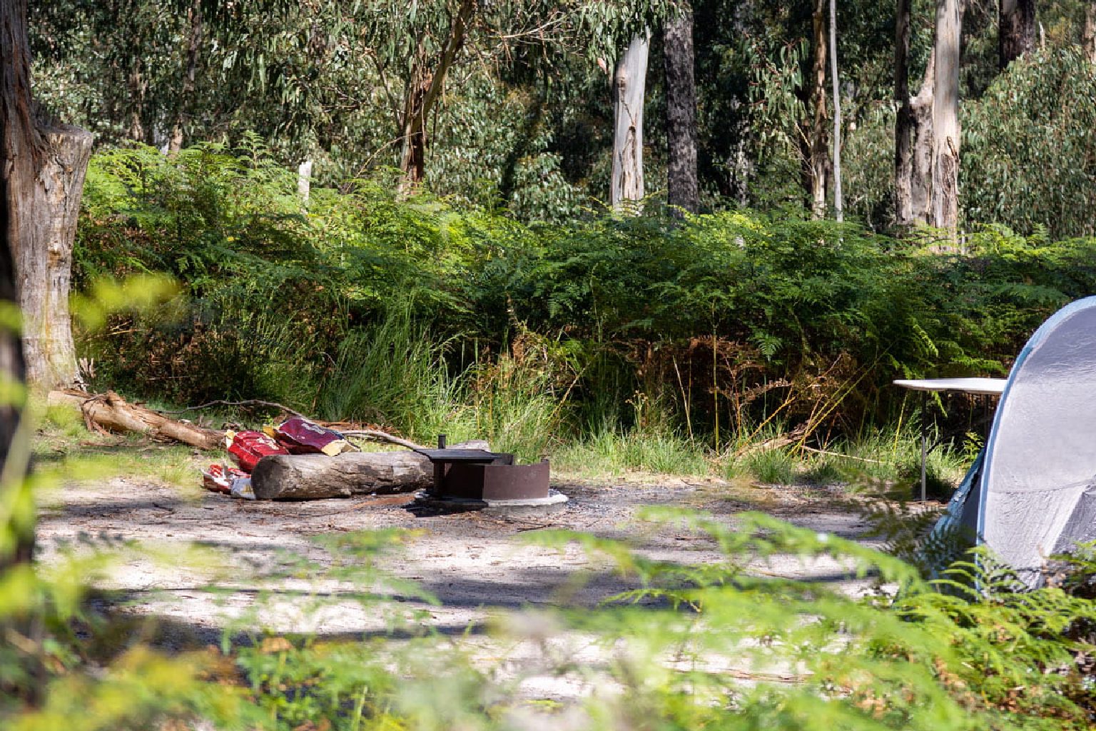Photo of Ferntree Camping Area