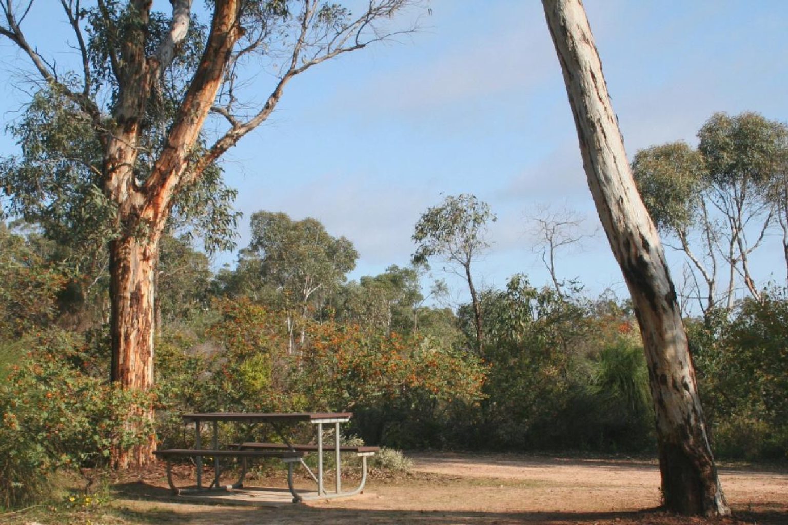 Photo of Drummonds Campground