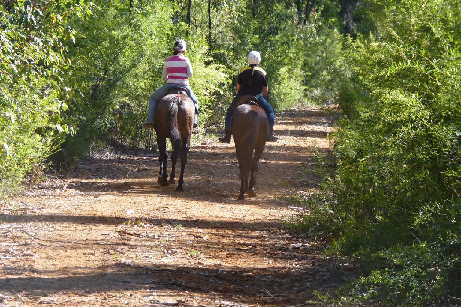 Photo of Shannon Horse Camp