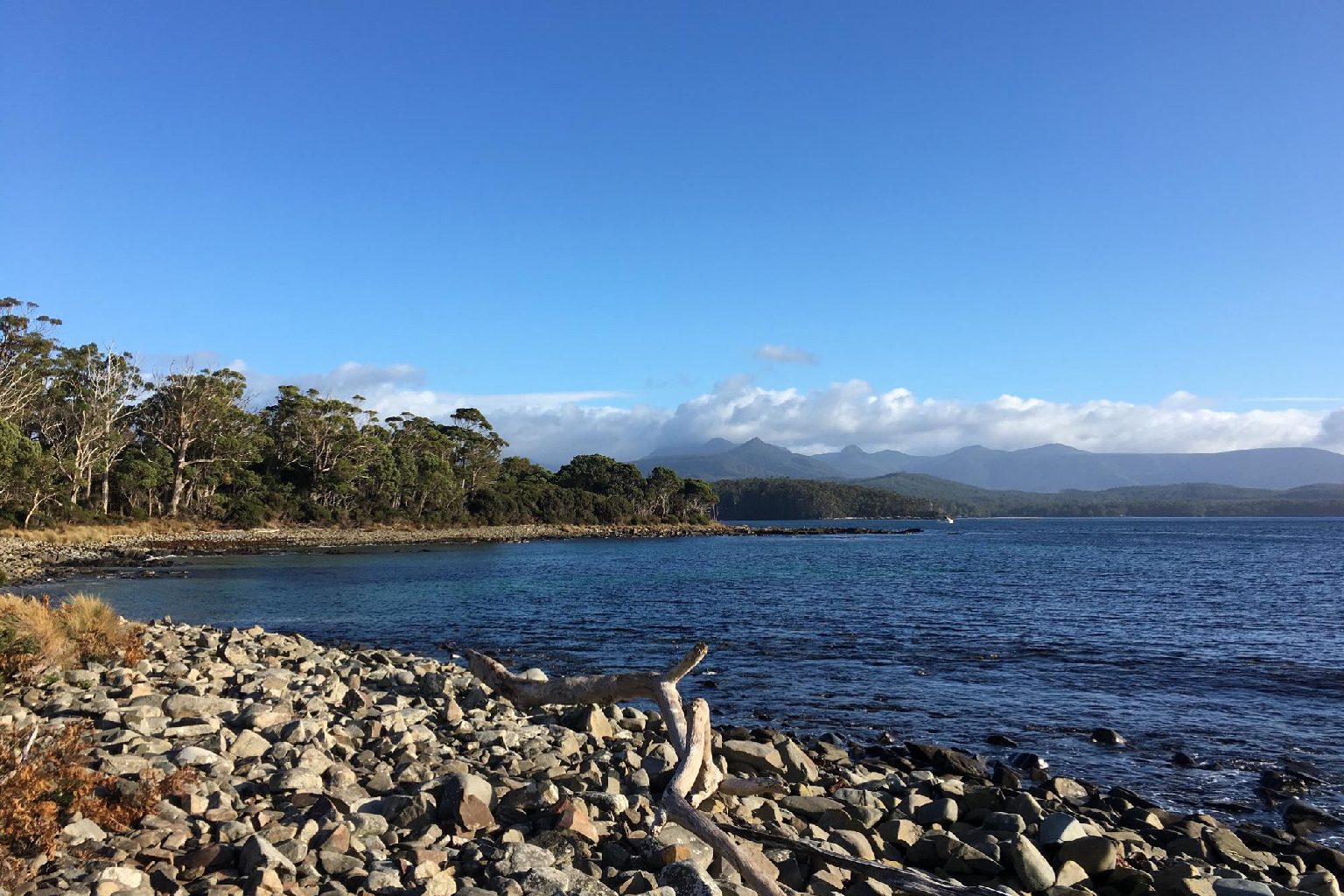 Photo of Recherche Bay camping