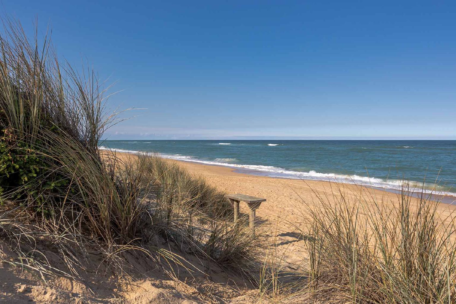 Photo of Paradise Beach