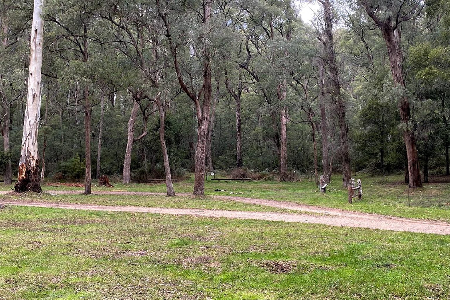 Photo of 7 Mile Flat Camping Area